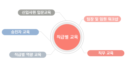 직급별 교육 - 신입사원 입문교육, 승진자 교육, 직무 교육